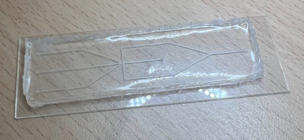 Photograph of the cured transparent PDMS chip